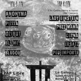 PIZZZA EN LIVE le 3 juin 2016!!!